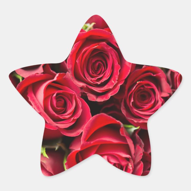 Roses Reddy Beautiful Star Sticker (Front)