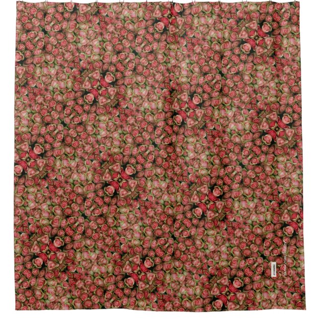 Roses Shower Curtain (Front)