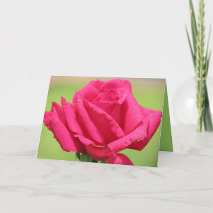 Roses smell sweeter holiday card