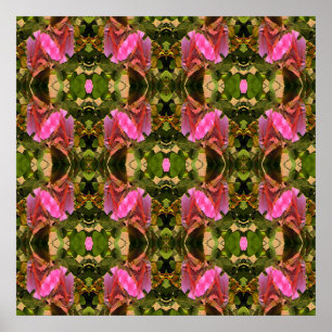 Roses Spectacular.... Poster