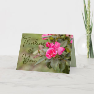 Roses Thinking of You Folded Greeting Card