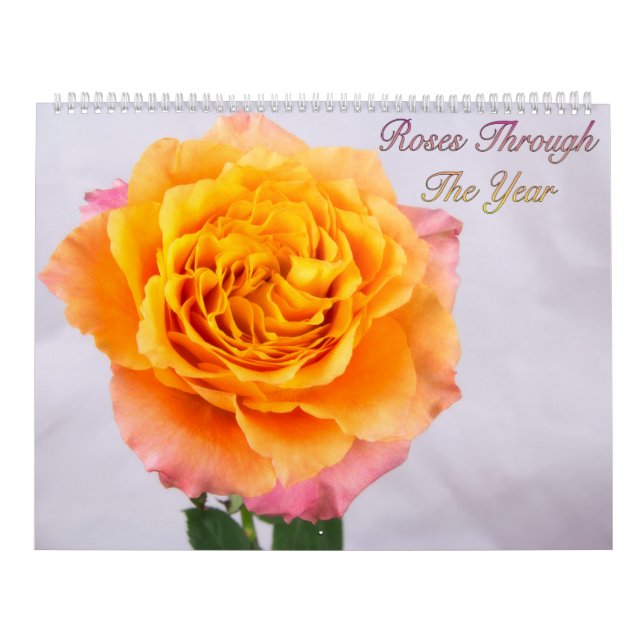 Roses Through The Year Photo Calendar (Cover)