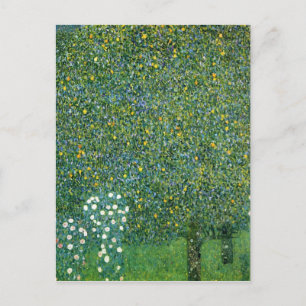 Roses under the Trees Cute Postcard