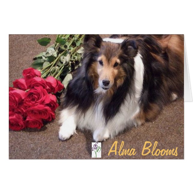 Roses with Logo (Front Horizontal)