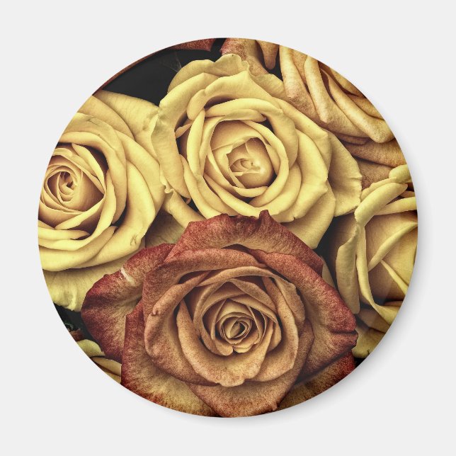Roses yellow and red magnet (Front)
