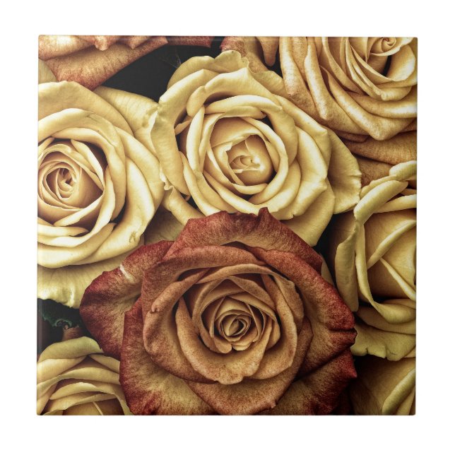 Roses yellow and red tile (Front)