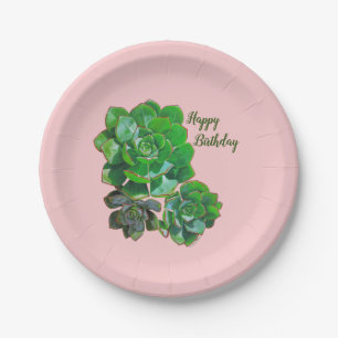 Rosette Succulents Paper Plates