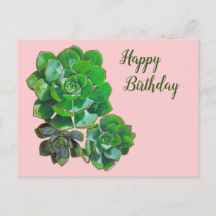 Rosette Succulents Post Card