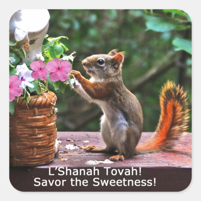 Rosh Hashanah Cards Gifts Square Sticker (Front)