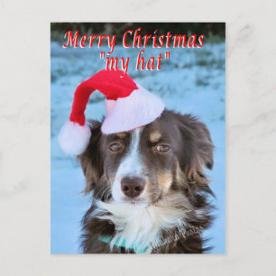 Rosie-CH7-Z - customise Holiday Postcard