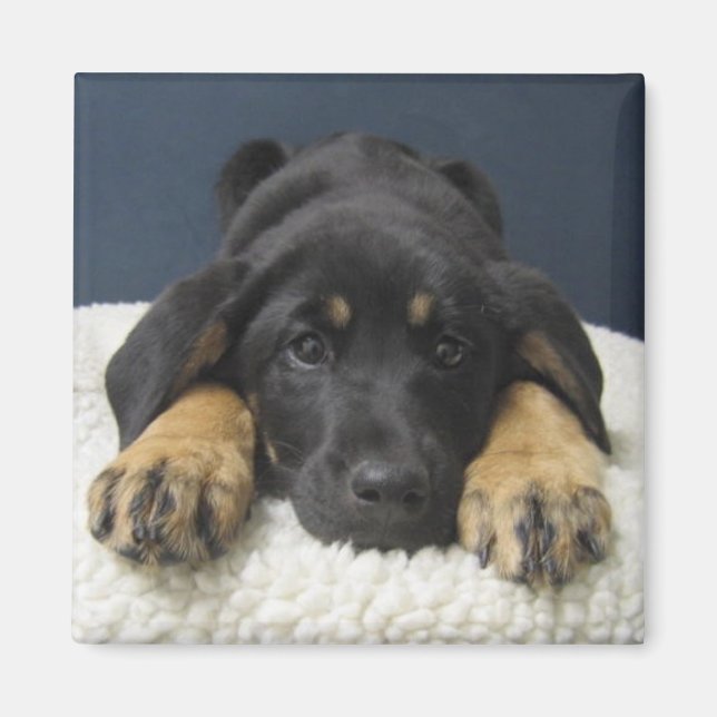 Rosie Magnet (Front)