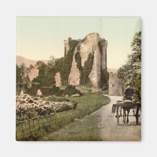 Ross Castle II, Killarney, County Kerry Magnet