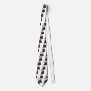 rossini tie