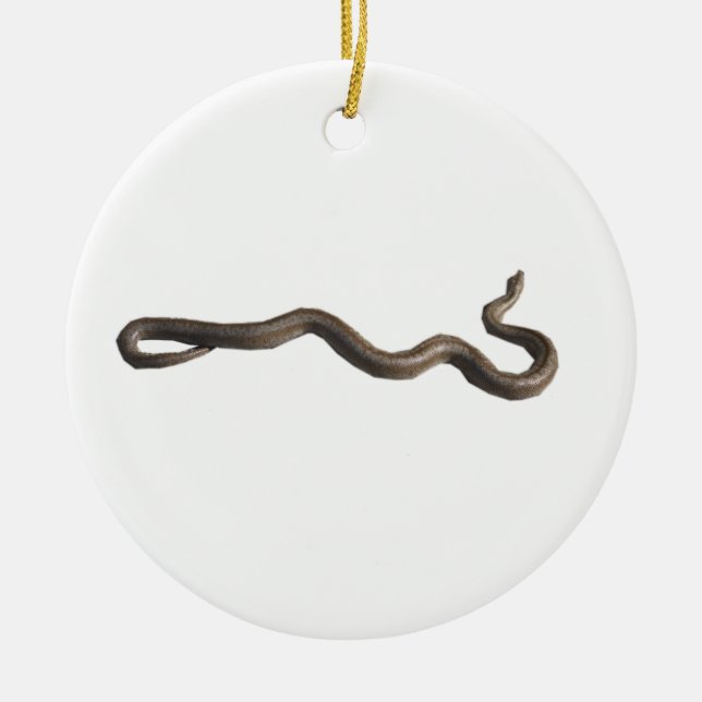 Rosy Boa Circle Ornament (Front)