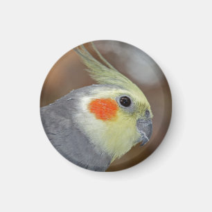 Rosy Cheeks Magnet