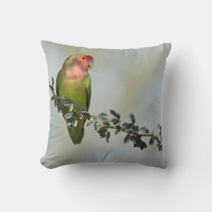 Rosy- faced love bird on a branch cushion