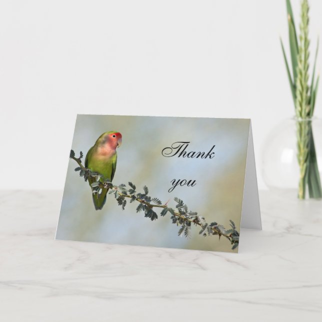 Rosy- faced love bird on a branch,Thank you. Thank You Card (Front)