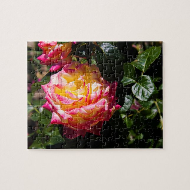 Rosy Glow Jigsaw Puzzle (Horizontal)