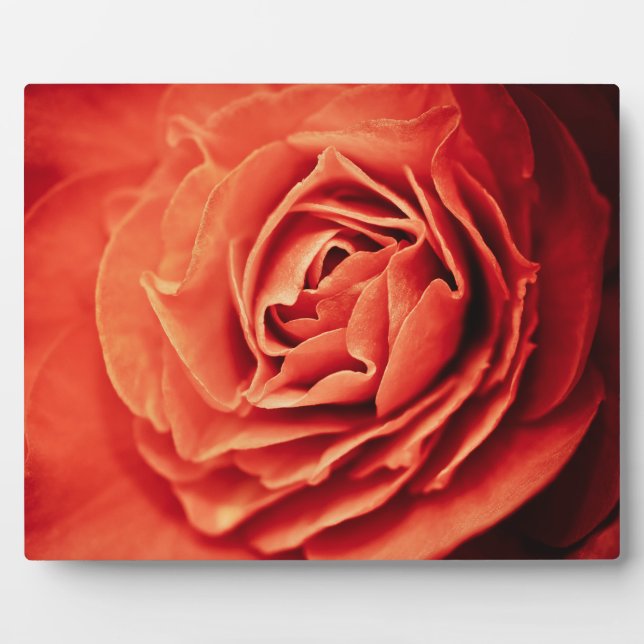 rosy living plaque (Front)