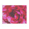 Rosy Rose Postcard