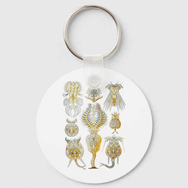 Rotifers Key Ring (Front)
