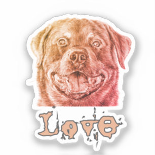 Rott Love