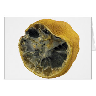 Rotten lemon