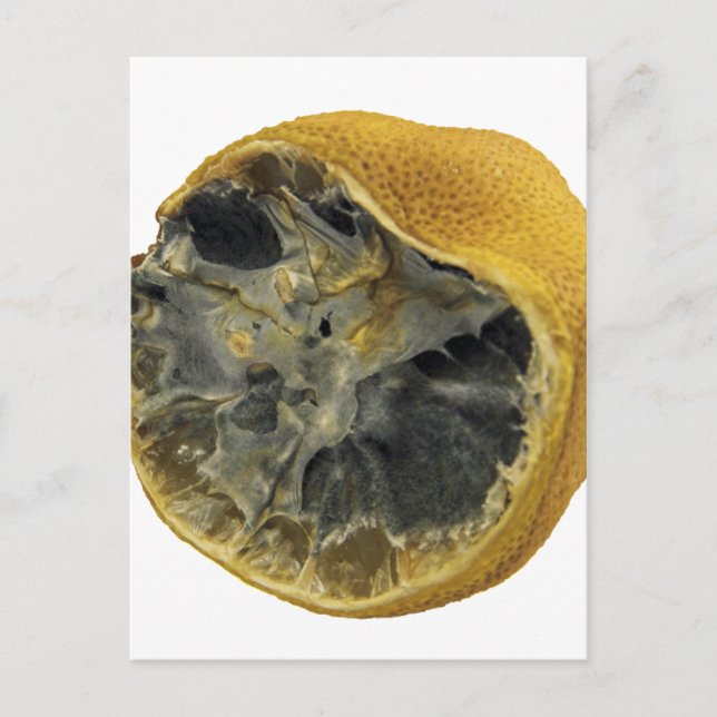 Rotten lemon postcard (Front)