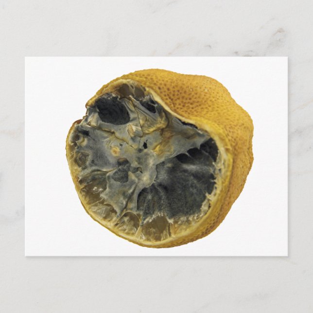 Rotten lemon postcard (Front)