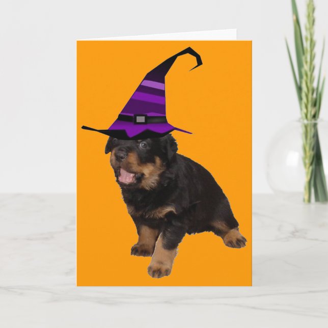 Rotten Witch Card (Front)