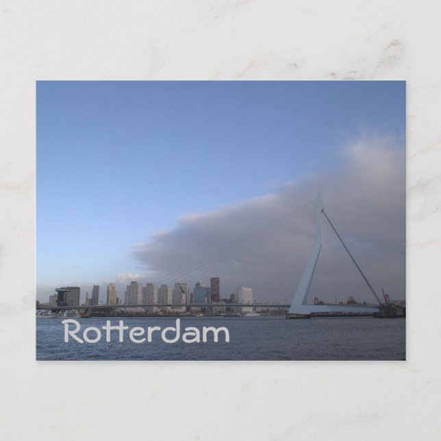 Rotterdam skyline postcard (Front)