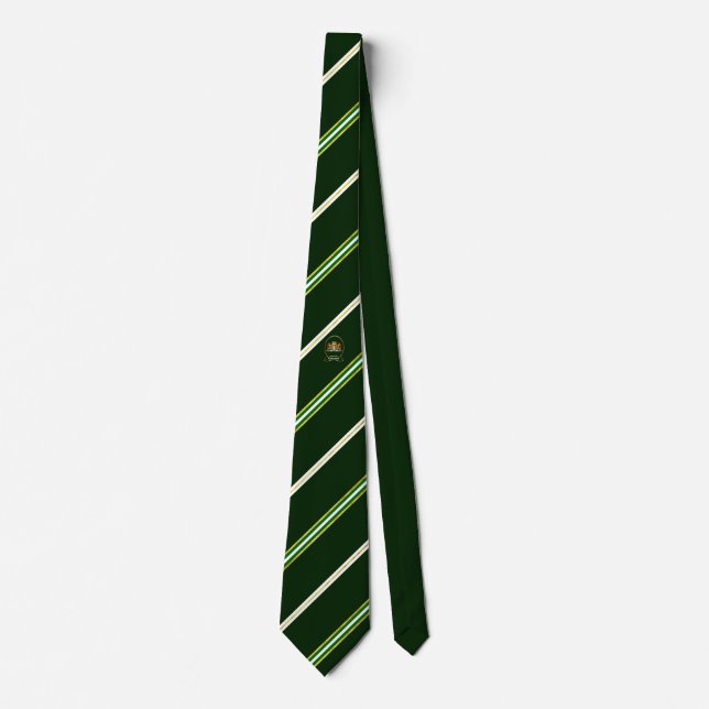 Rotterdam stripes flag tie (Front)