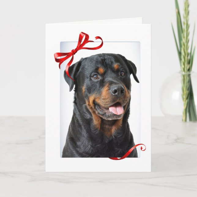 Rottie Christmas Card (Front)