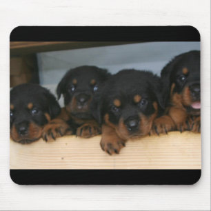 rottie pups mouse pad
