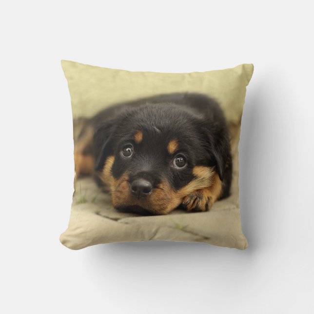 Rottweiler20150901 Cushion (Front)