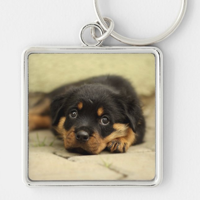 Rottweiler20150901 Key Ring (Front)