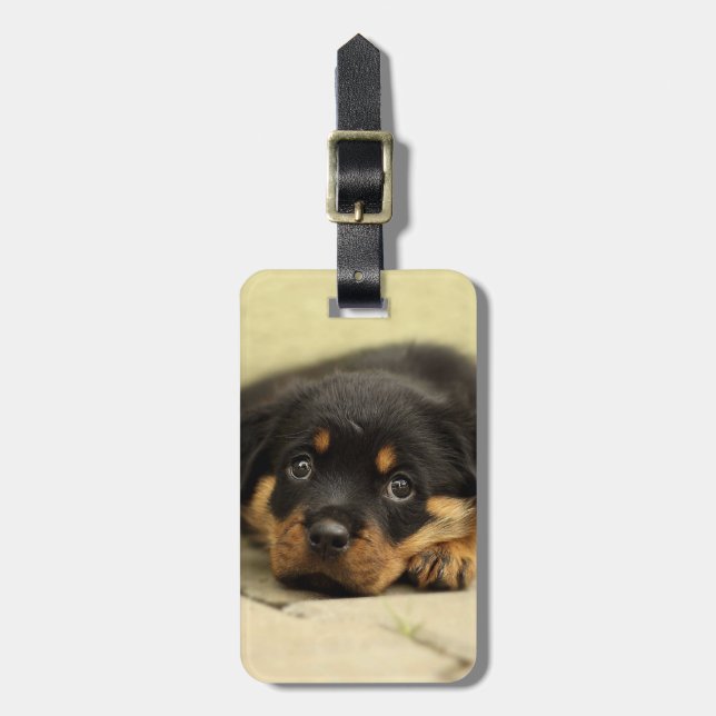 Rottweiler20150901 Luggage Tag (Front Vertical)
