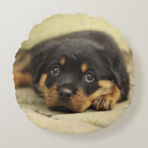 Rottweiler20150901 Round Cushion