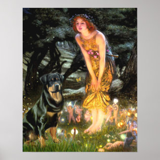 Rottweiler (#3) - Mid Eve Poster