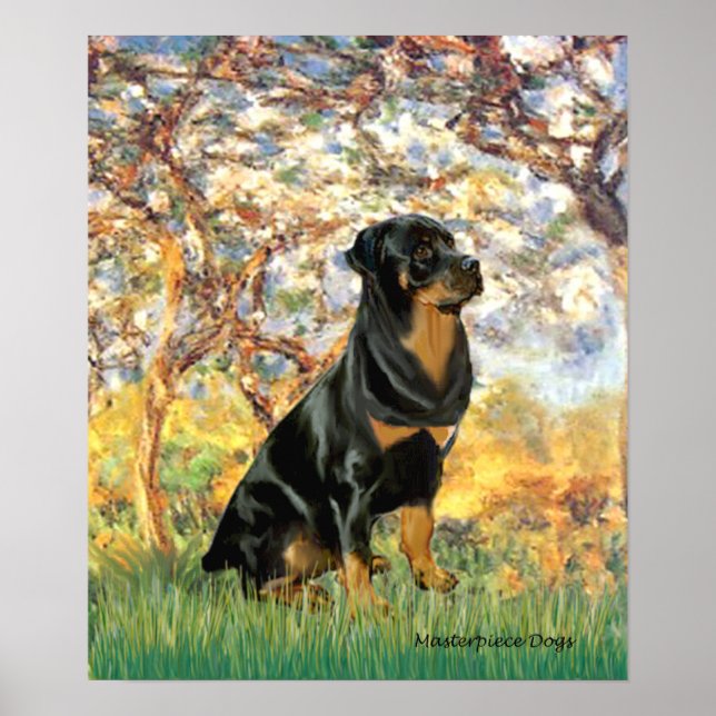 Rottweiler (#5) - Spring Poster (Front)