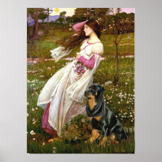 Rottweiler (#5) - Windflowers Poster