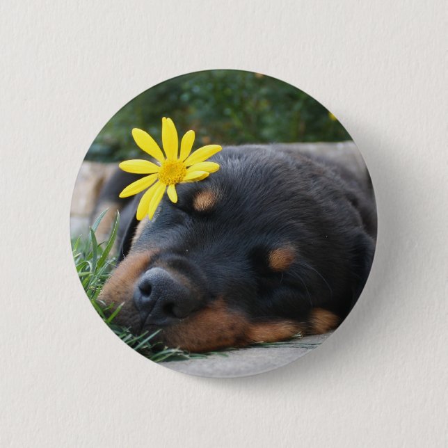 Rottweiler 6 Cm Round Badge (Front)