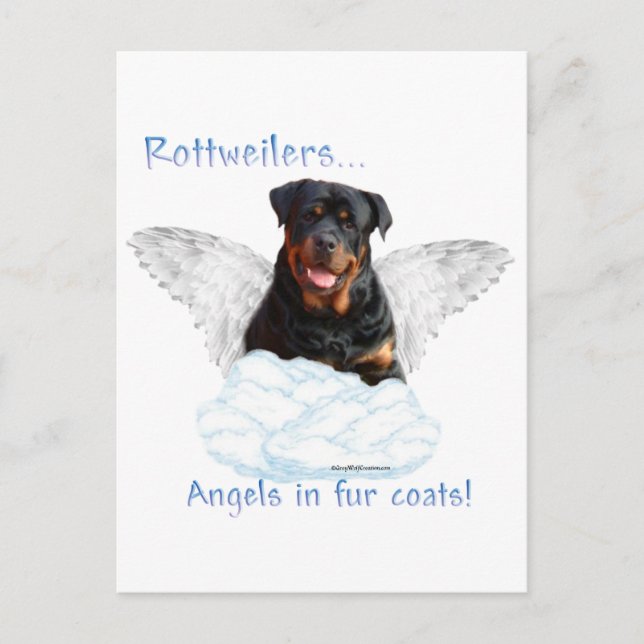 Rottweiler Angel Postcard (Front)