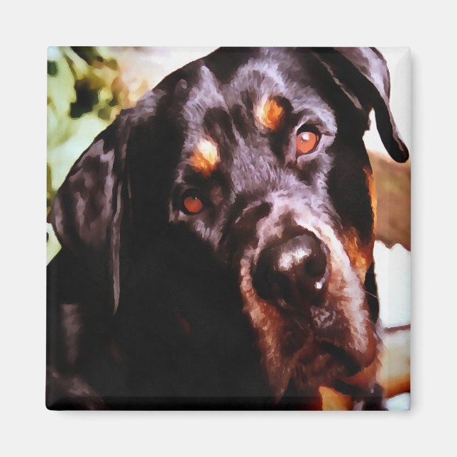 Rottweiler Artistic Pet Portait Magnet (Front)