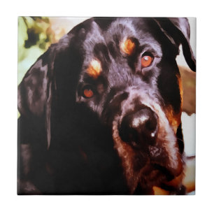 Rottweiler Artistic Pet Portait Tile