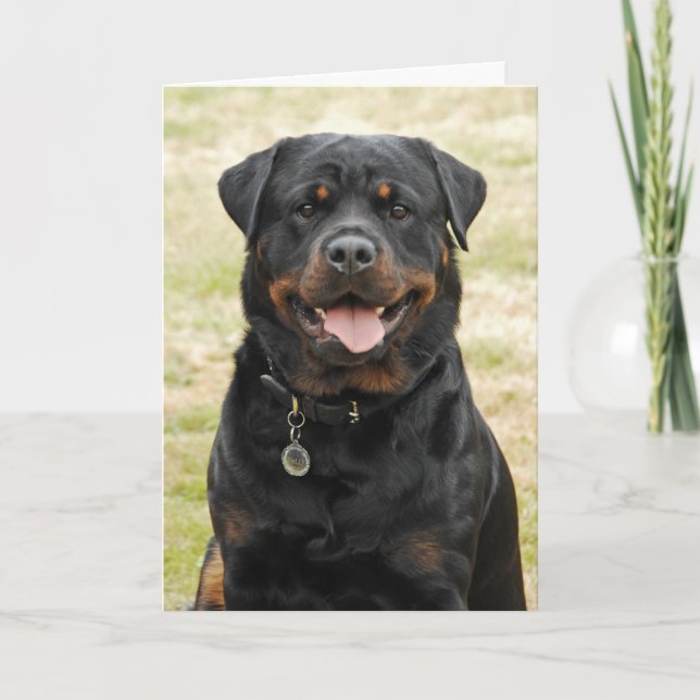 Rottweiler Birthday Card (Front)