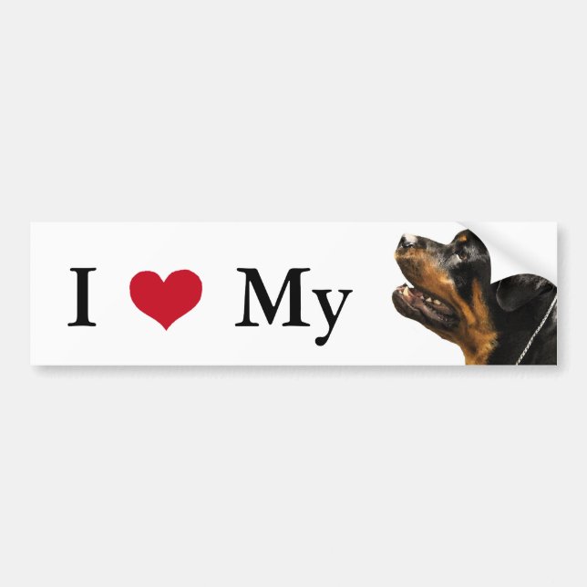 Rottweiler Bumper Sticker (Front)