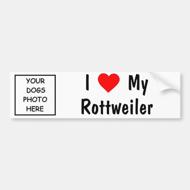 Rottweiler Bumper Sticker (Front)