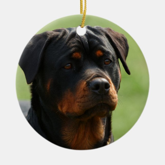 Rottweiler Ceramic Tree Decoration (Front)