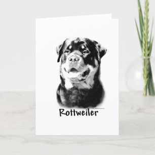 Rottweiler Charcoal Holiday Card